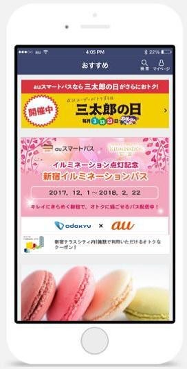 新宿イルミネーションパス　※イメージ
