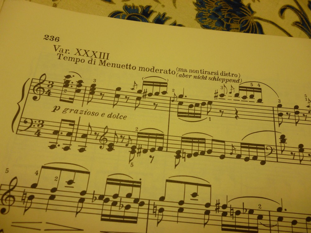 第33番目の最終変奏曲は、主題からかけ離れたベートーヴェンの壮大な世界になっている