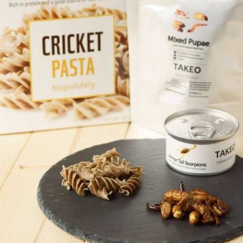 私、昆虫食べたかったの！　そんなアナタに「昆虫食福袋」30個限定で販売中！