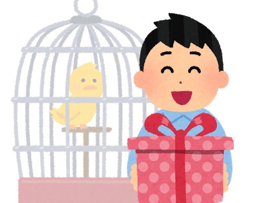 箱を開けたら「インコのひな」　彼氏からのクリスマスプレゼントに賛否