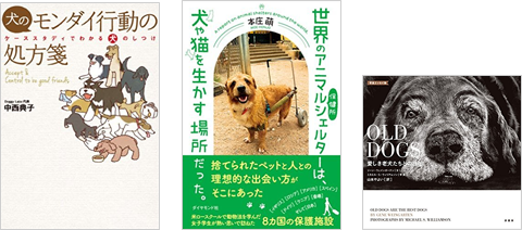 わたしの戌年はもう始まってるの！　2018年の主役「わんちゃん」最強ラブリー説