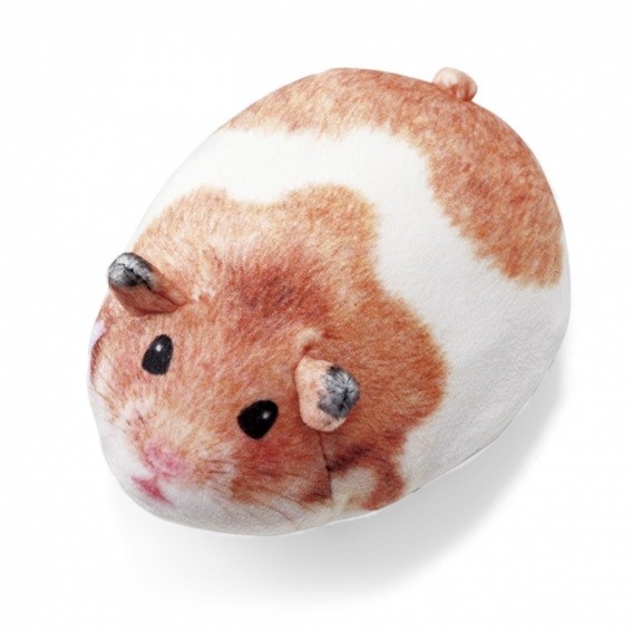 ゴールデンハムスター