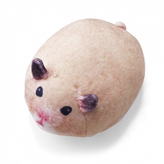 キンクマハムスター