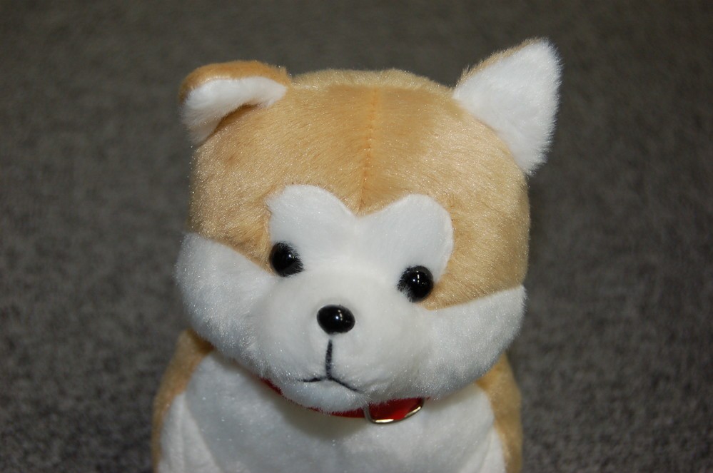 ザギトワに贈られた秋田犬のぬいぐるみ　秋田の空港で完売、在庫切れのフィーバー