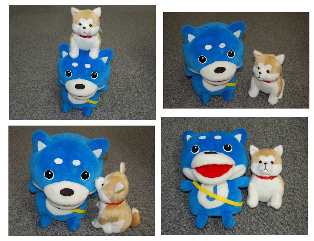 せっかくなので弊社のニュース記者犬「カス丸」と一緒に撮影