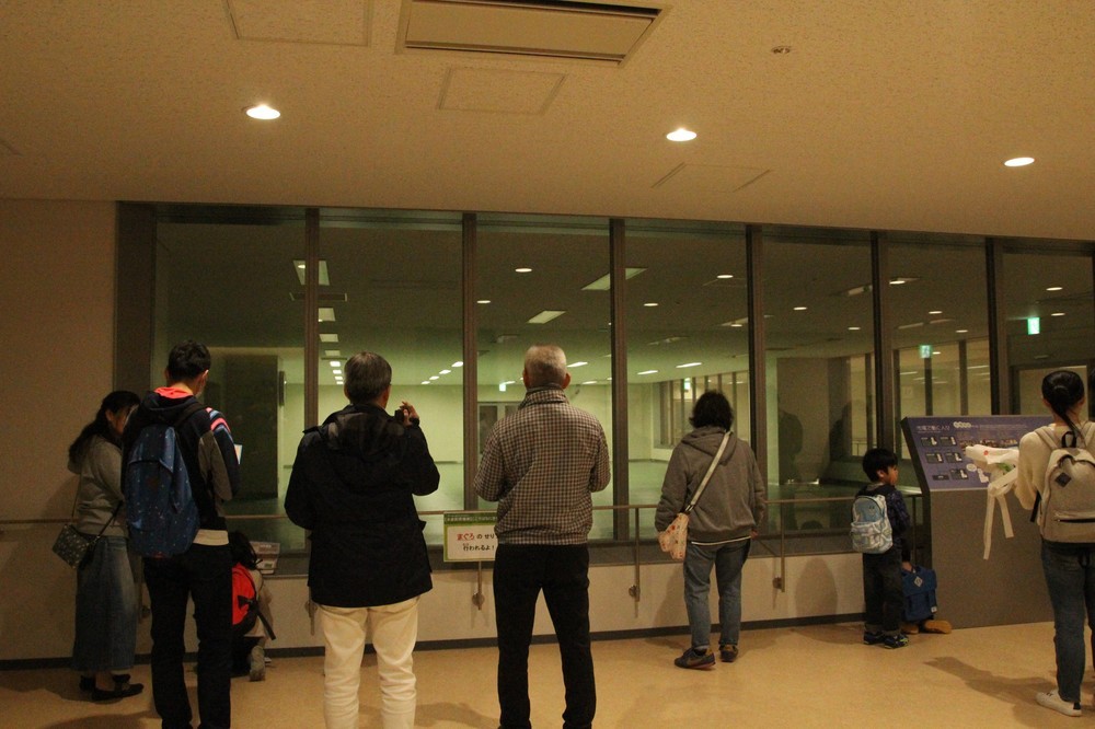 水産卸売場棟のマグロのせりが行われる場所には、たくさんの人が立ち止まっていた