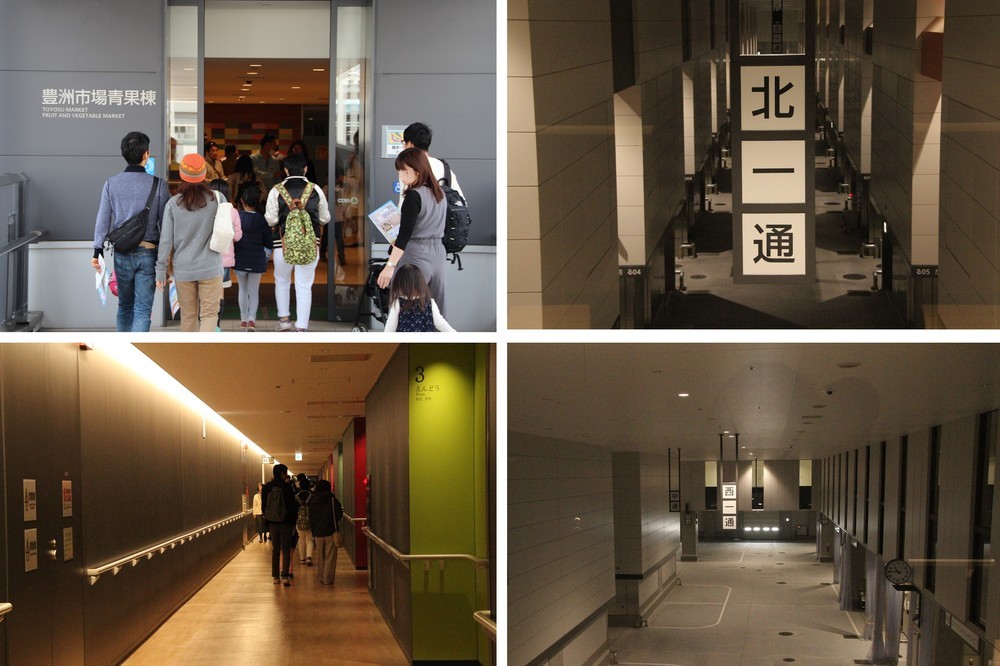 青果棟の見学コース