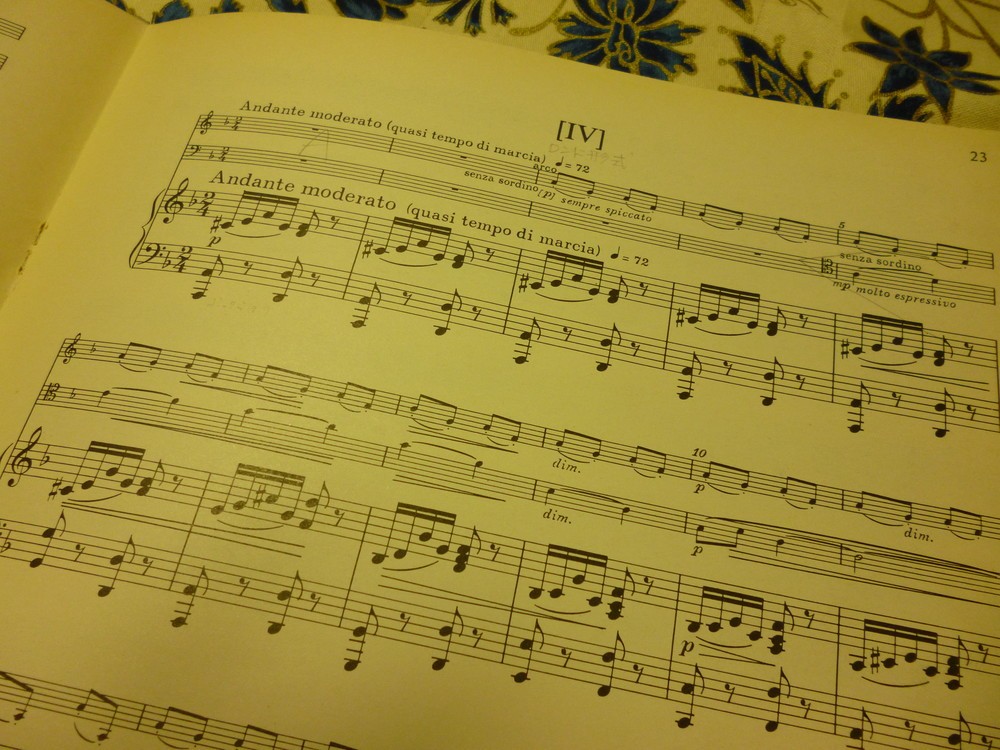 スラヴ的哀愁に満ちた旋律があちこちに…これは第4楽章の冒頭