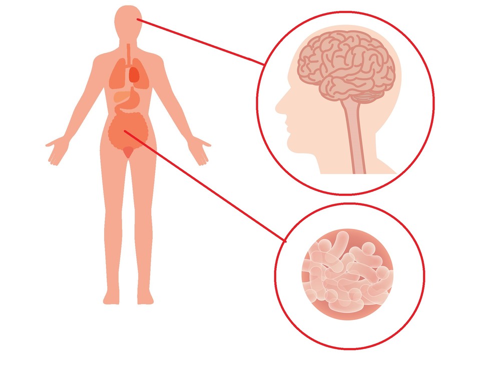 ビフィズス菌に認知機能改善の可能性　27人を対象に検証