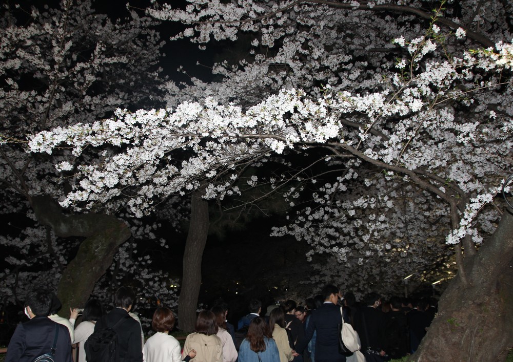 平日夜も人で賑わっている