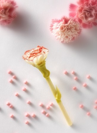 母の日にチョコレートで出来たカーネーション