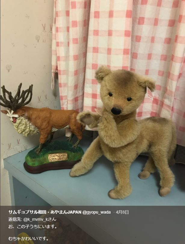 サムギョプサル和田さんのツイッターより