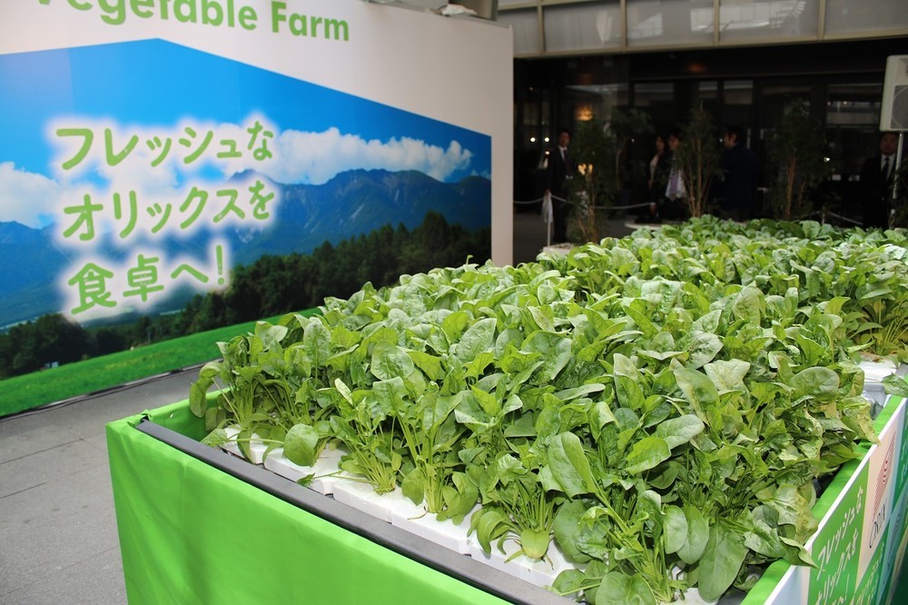「ORIX Vegetable Farm」の水耕栽培エリア