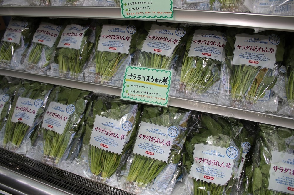 イベントで販売される「サラダほうれん草」