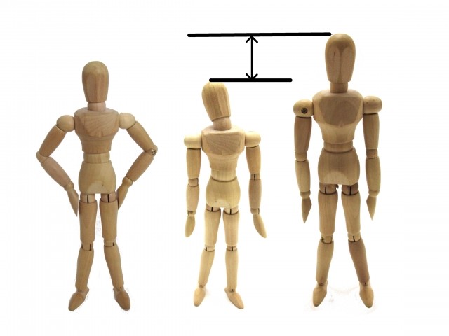 高身長女子VS低身長女子、どっちもツライよ　女の子の理想の身長は？