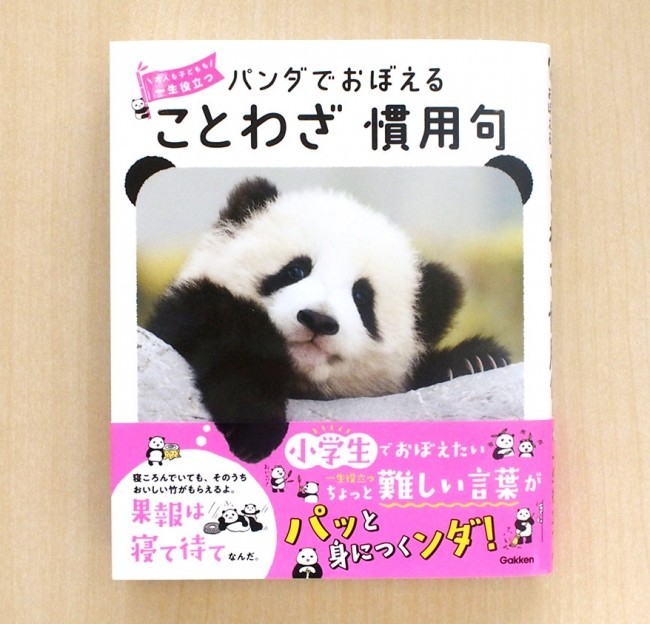 何度も見たくなる、ゆる～い参考書　「パンダでおぼえる ことわざ慣用句」