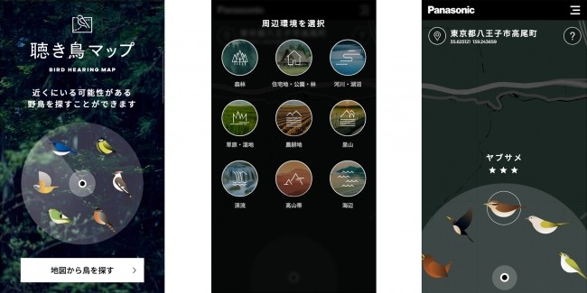 近くに生息している鳥がわかる