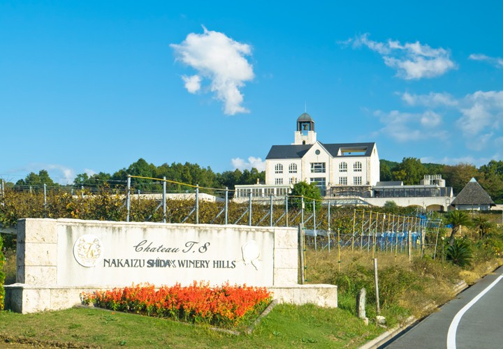 静岡県のワイナリー併設ホテルでワイン三昧