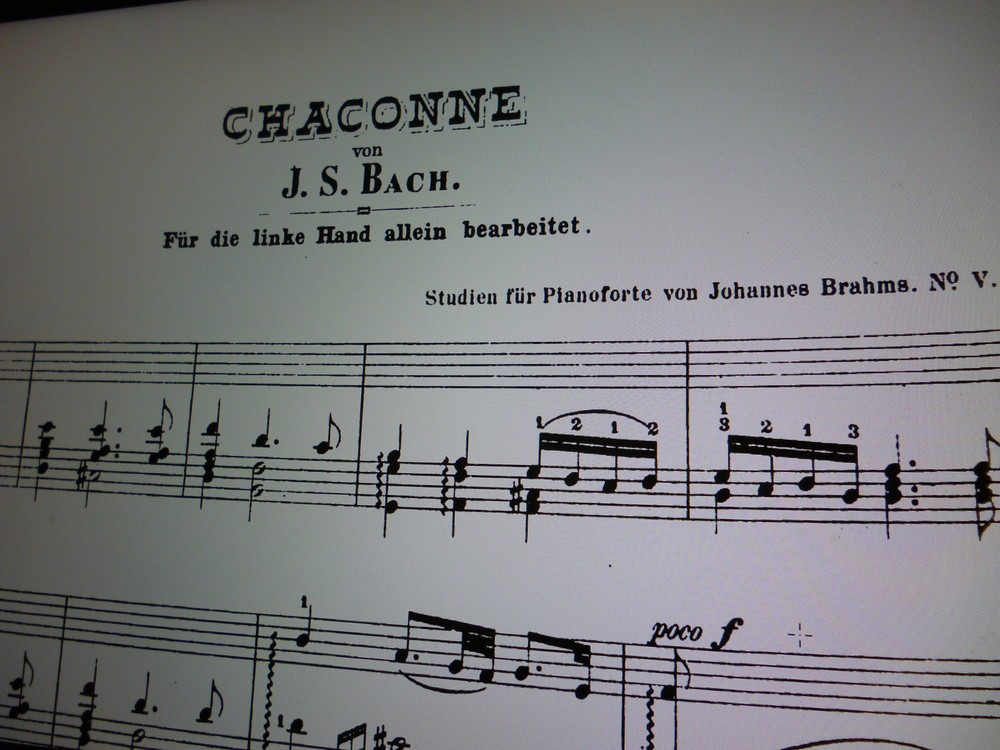 制約の中で美を追求　バッハ作曲、ブラームス編曲「左手のためのシャコンヌ」