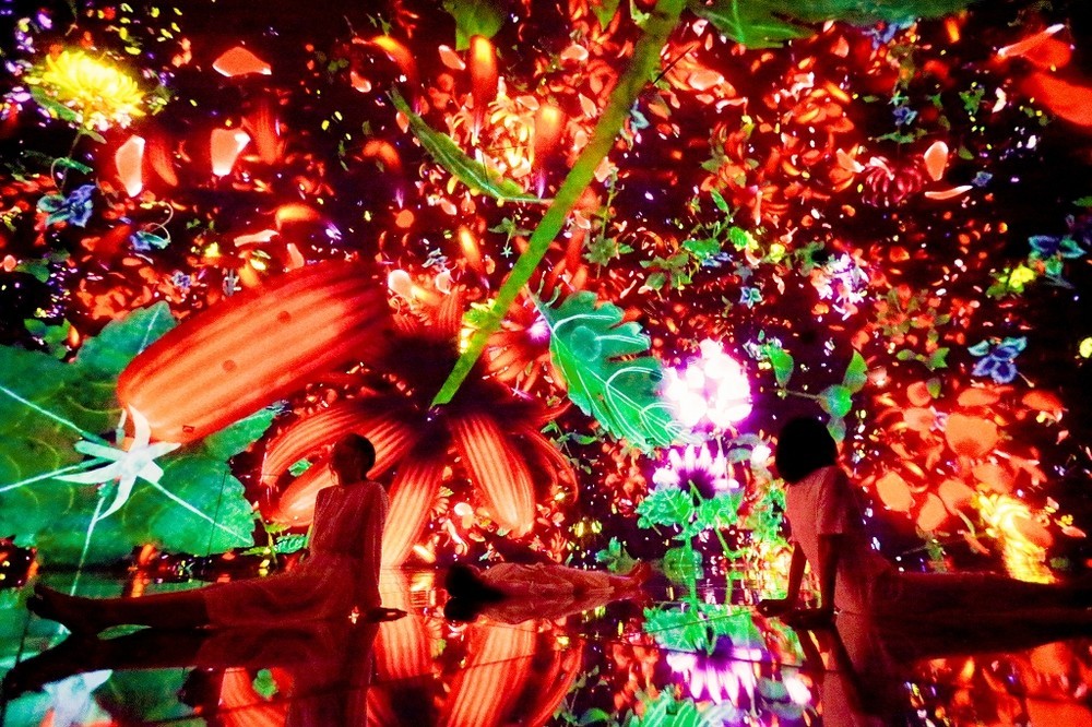「Floating in the Falling Universe of Flowers」（写真クレジット：チームラボ プラネッツ TOKYO DMM.com）