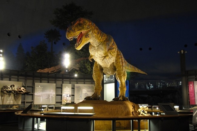 国内最大級の恐竜博物館に行こう！旅館内には縁日も　福井