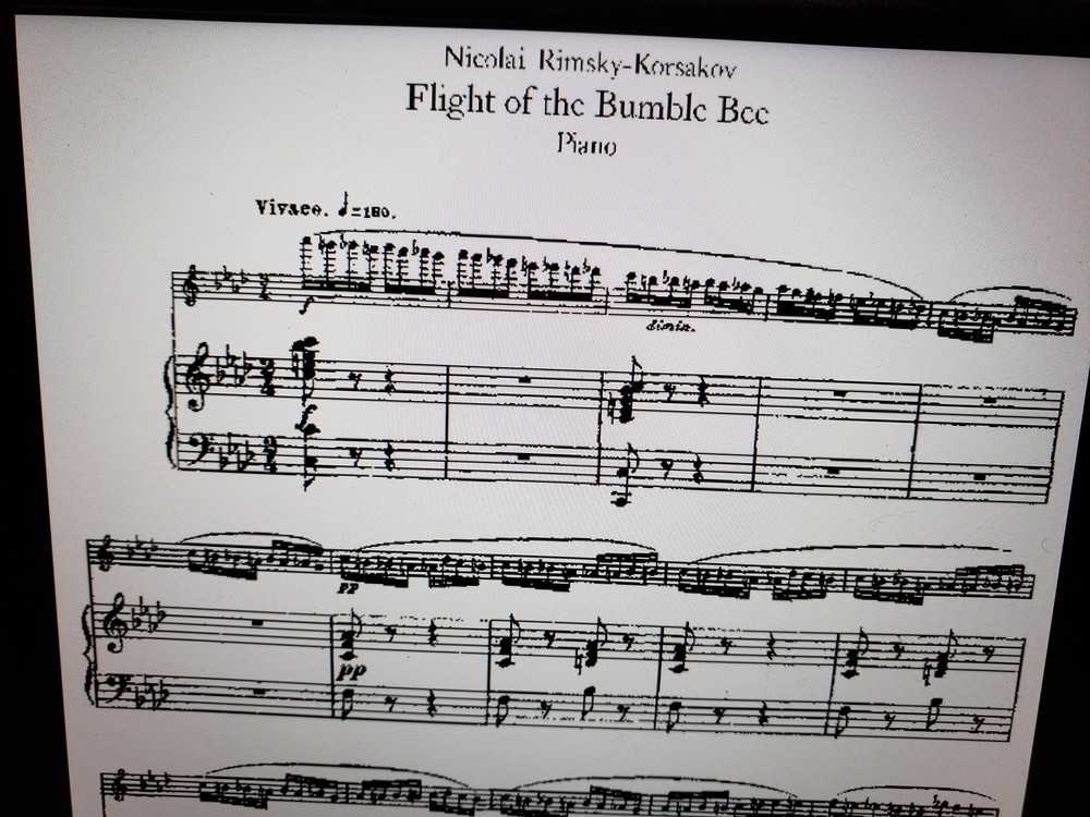 独奏楽器とピアノ伴奏のために編曲された楽譜。独奏楽器の超絶技巧曲を披露する曲としても人気が高い。
