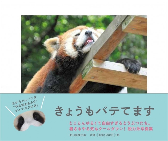 レッサーパンダ、ホッキョクグマも猛暑でぐったり　「夏バテ」動物写真集