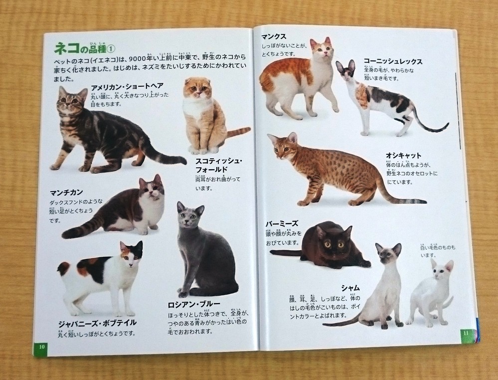 ネコ好きのハートをわしづかみ　マクドナルド「おまけ」の動物図鑑が欲しい～