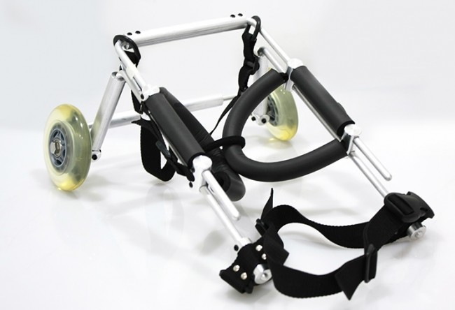 老化で歩行困難になった犬をサポート！
