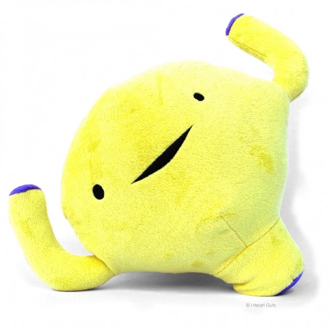 結構いやされる！ヒトの臓器のぬいぐるみ　カラフルで「ゆるかわ」と好評