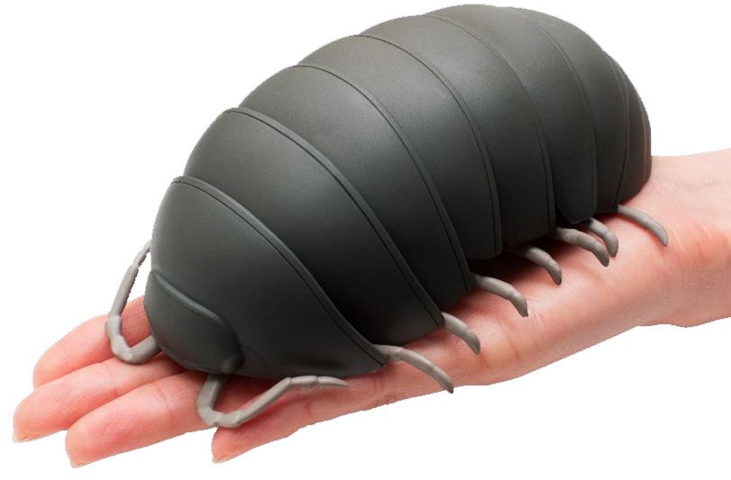 「だんごむし」カプセルトイ　歩行形態から丸まる様子を完全再現