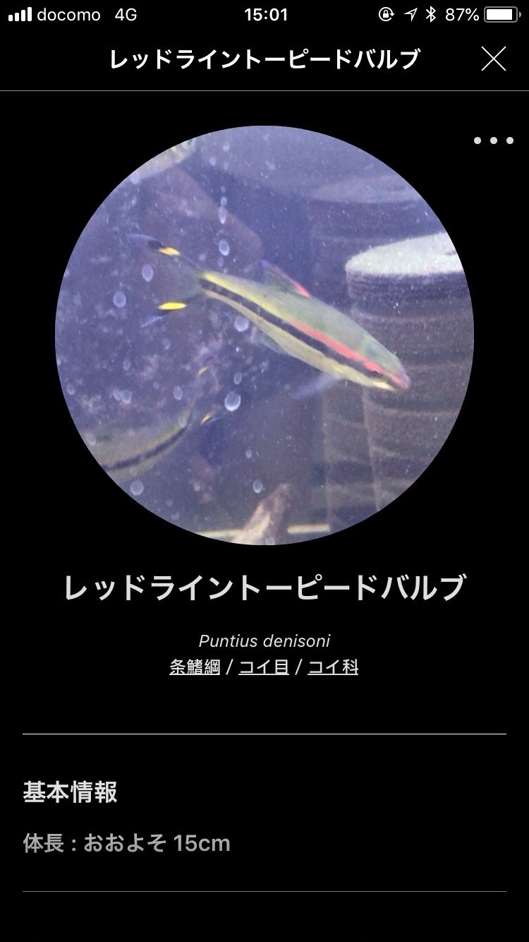 撮影した生き物は記録される（2018年8月撮影）