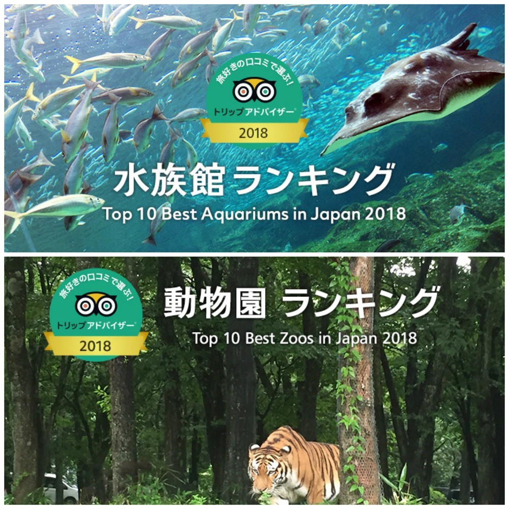 好きな動物園・水族館ランキング2018　来園者数に比例しない意外な結果に