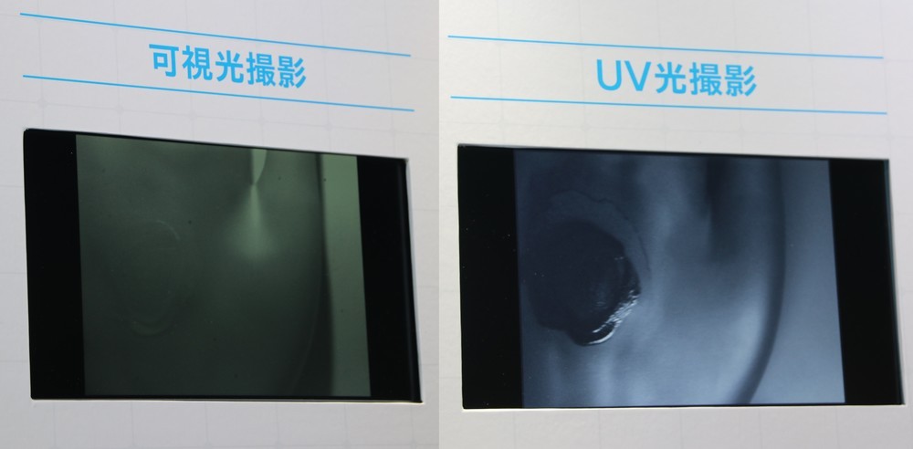 可視光撮影とUV光撮影の見え方の違い