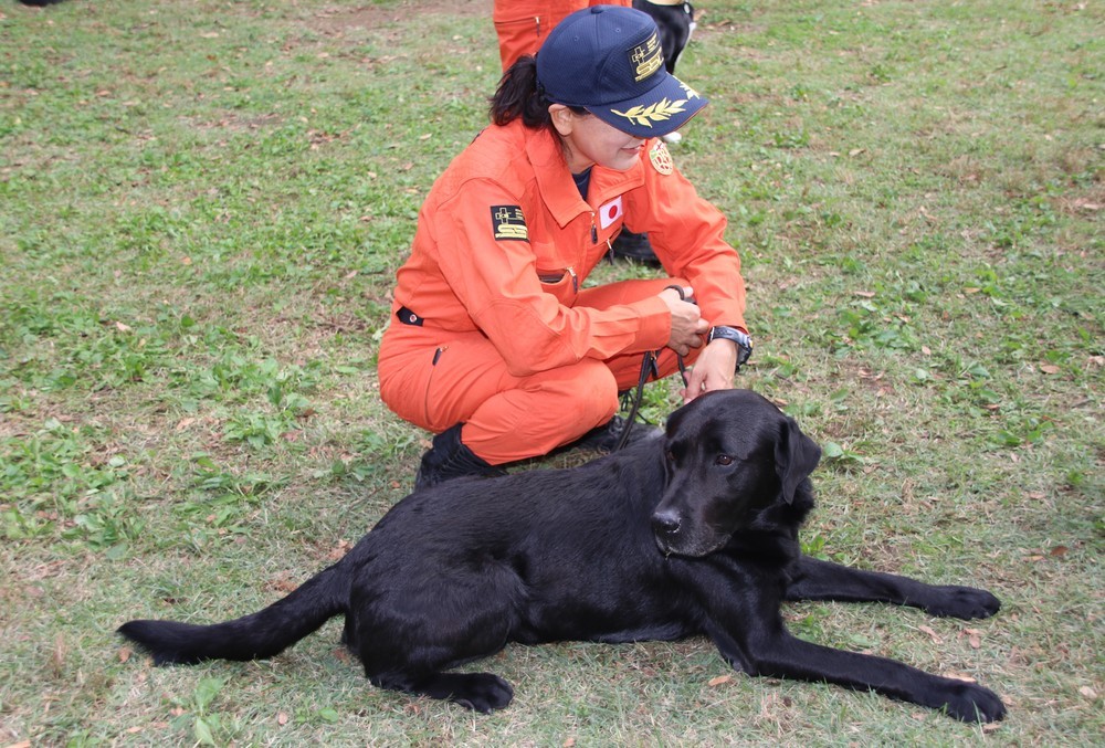 災害救助犬
