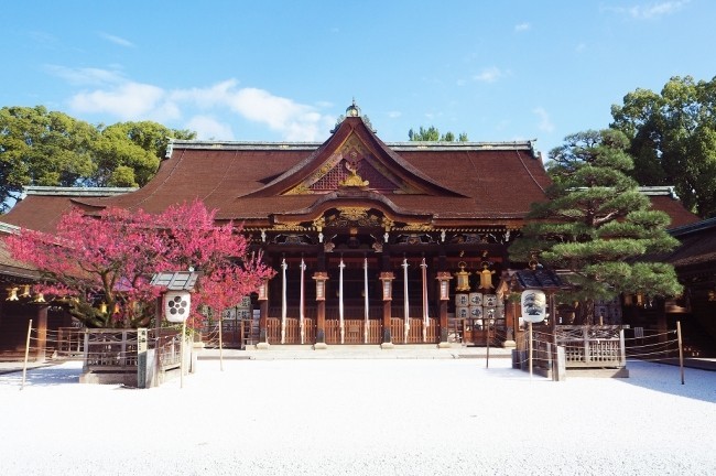 美しい文化財や修復現場を見学　「京津奈・古の三都めぐり」
