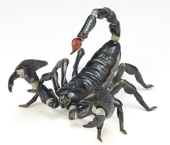 海洋堂から「ダイオウサソリ」可動フィギュア　尾を持ち上げて威嚇