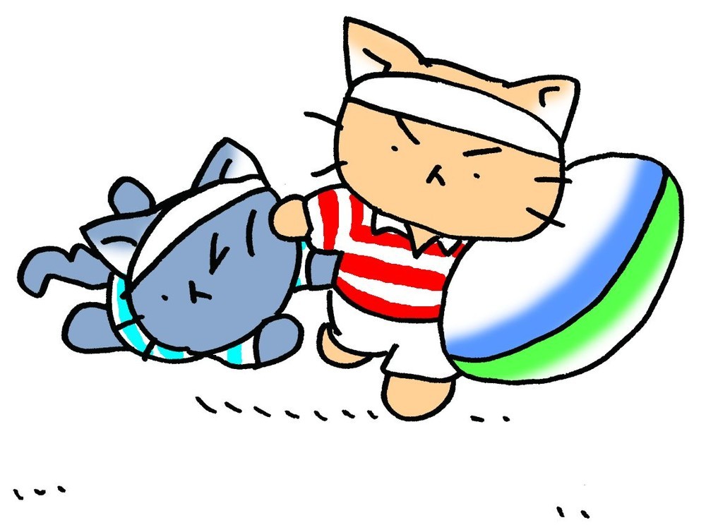 白猫チームと黒猫チームが、楕円球をめぐって大暴れ！