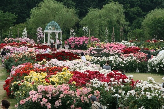 早春から初夏に咲く花々の見ごろに合わせたスタンプラリー実施