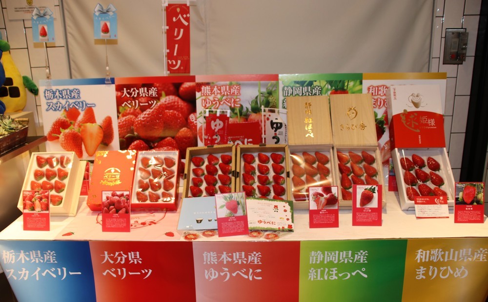 会場入り口横に展示されていた、各産地の「ブランド苺」