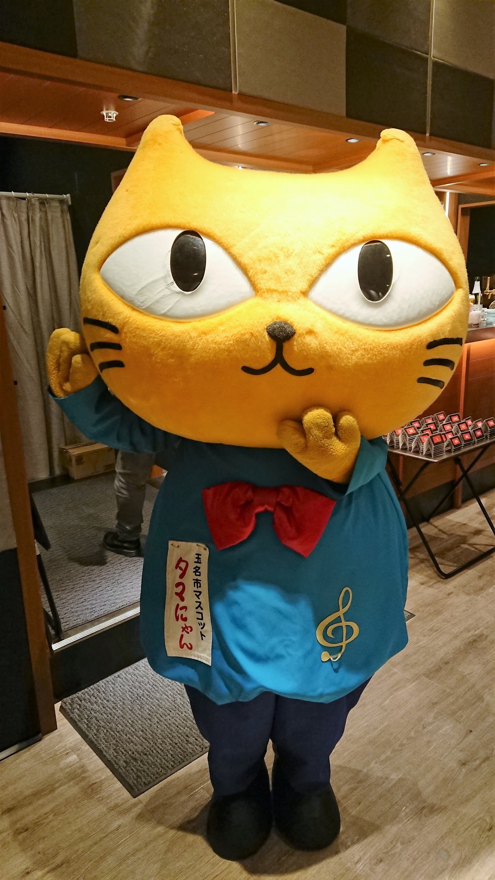 熊本県玉名市のゆるキャラ「タマにゃん」