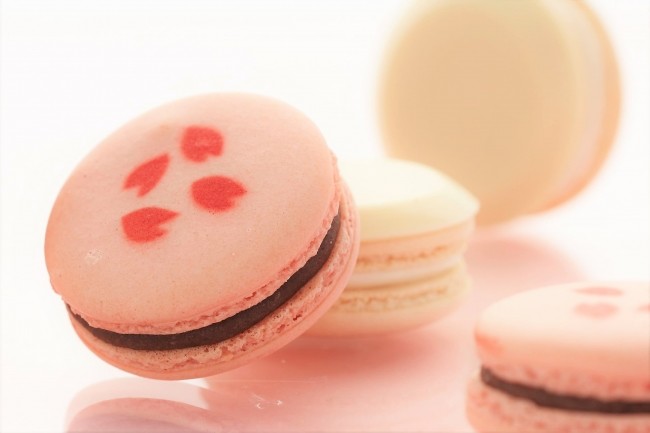 日本情緒溢れるお花見人力車