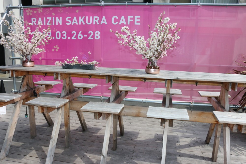 天気が良ければ外でも（2019年3月撮影）