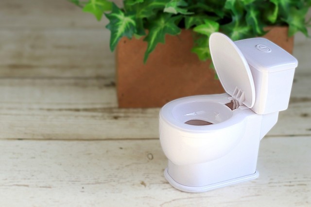 母が「便秘症状」だと子の46％が便秘　日本トイレ研究所「母親と子どもの排便実態調査」