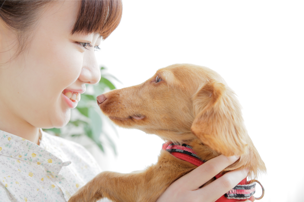 動物を売らないペットショップ　人とペットの共存目指す