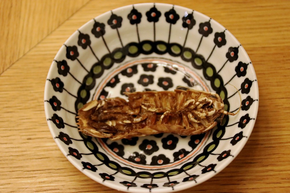 取り皿に移したオオグソクムシの丸揚げ（裏面）