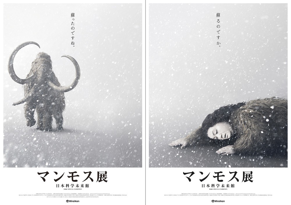 世界唯一の「古代ウマ」完全冷凍標本公開　日本科学未来館「マンモス展」で