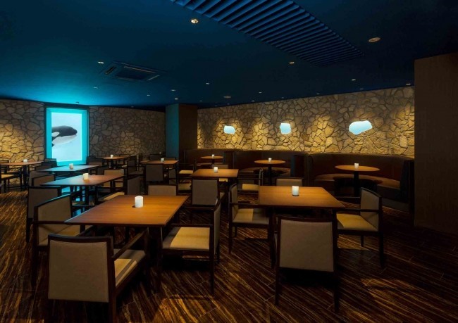 イルカやシャチが寄ってくるかも　鴨川シーワールド「大人のナイトステイ」