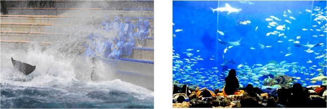 ナイトステイの様子