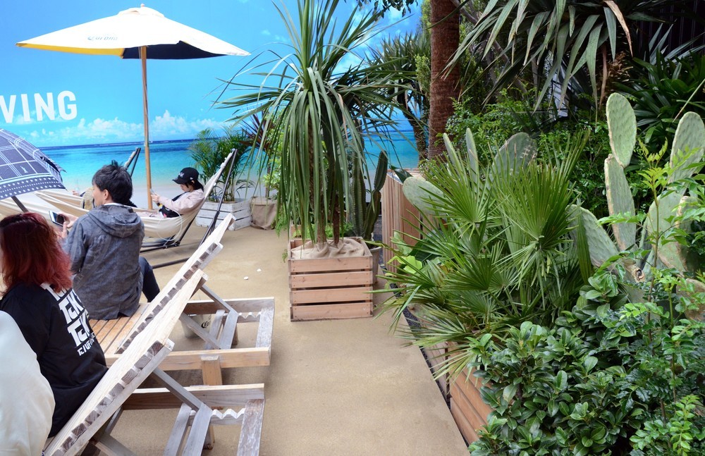 サボテンをはじめ、植物の緑が映える
